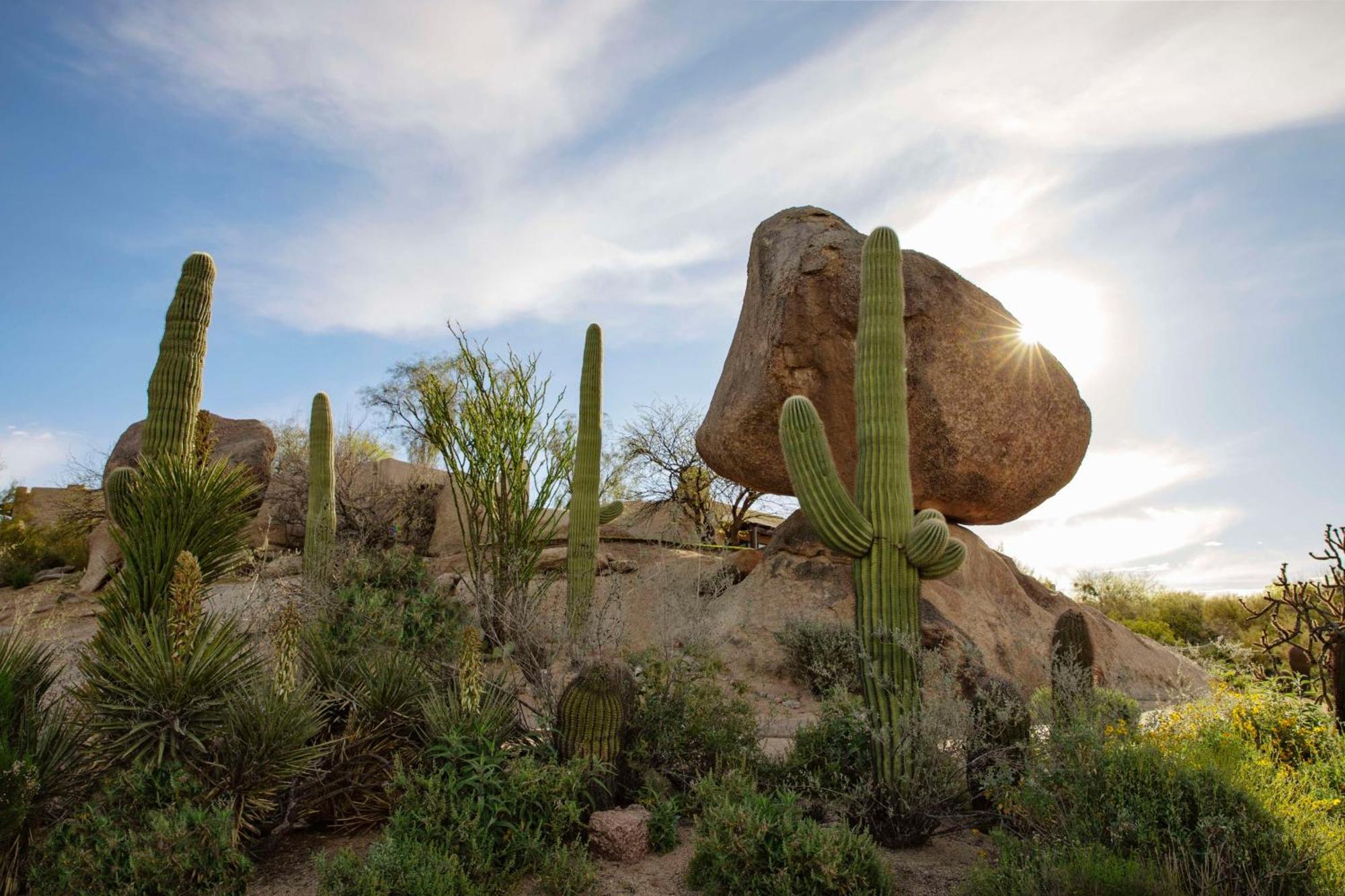 Boulders Resort & Spa Scottsdale, Curio Collection By Hilton Kültér fotó